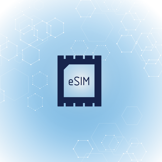 What is a travel eSIM? - What you need to know!